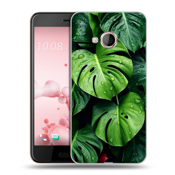 Пластиковый чехол на HTC U Play с принтом Листья
