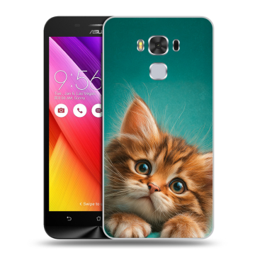 Пластиковый чехол на ASUS ZenFone 3 Max ZC553KL с принтом котенок