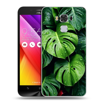 Пластиковый чехол на ASUS ZenFone 3 Max ZC553KL с принтом Листья