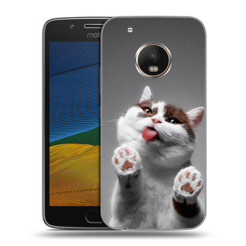 Силиконовый чехол на Lenovo Moto G5 с принтом Коты