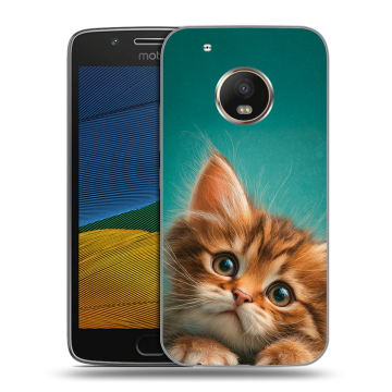 Силиконовый чехол на Lenovo Moto G5 с принтом котенок
