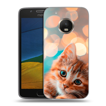 Силиконовый чехол на Lenovo Moto G5 с принтом котик