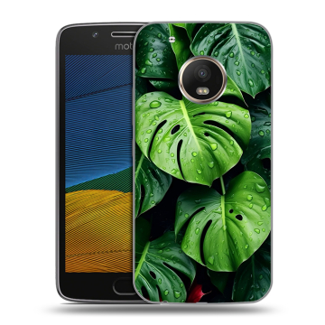 Силиконовый чехол на Lenovo Moto G5 с принтом Листья