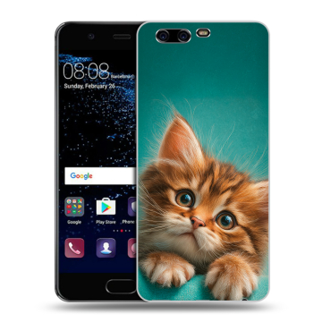 Силиконовый чехол на Huawei P10 с принтом котенок