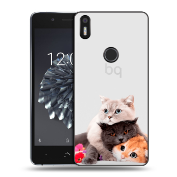 Силиконовый чехол на BQ Aquaris X5 Plus с принтом Кошки