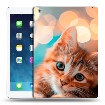 Силиконовый чехол на Ipad (2017) с принтом котик