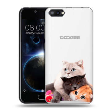 Пластиковый чехол на Doogee Shoot 2 с принтом Кошки