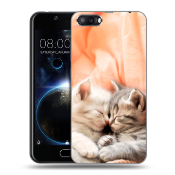Пластиковый чехол на Doogee Shoot 2 с принтом Котята