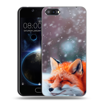 Пластиковый чехол на Doogee Shoot 2 с принтом лиса
