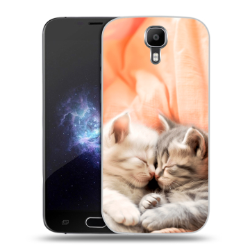 Пластиковый чехол на Doogee X9 Pro с принтом Котята Пластиковый чехол на Doogee X9 Pro с принтом Котята