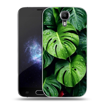 Пластиковый чехол на Doogee X9 Pro с принтом Листья