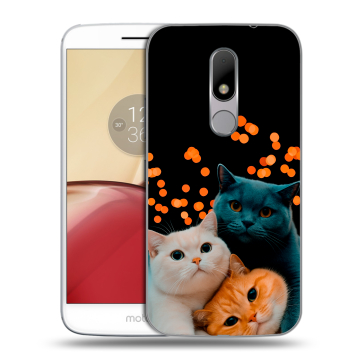 Силиконовый чехол на Lenovo Moto M с принтом Кошки Силиконовый чехол на Lenovo Moto M с принтом Кошки