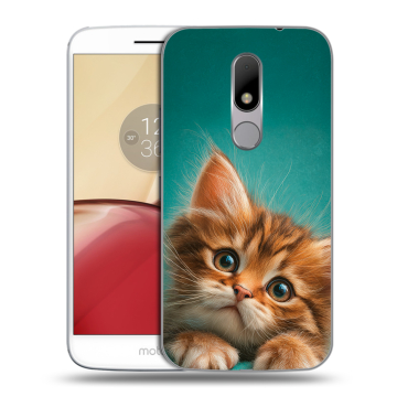 Силиконовый чехол на Lenovo Moto M с принтом котенок Силиконовый чехол на Lenovo Moto M с принтом котенок