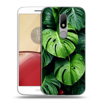 Силиконовый чехол на Lenovo Moto M с принтом Листья Силиконовый чехол на Lenovo Moto M с принтом Листья