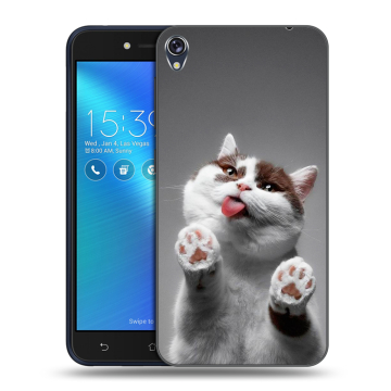 Силиконовый чехол на Asus ZenFone Live с принтом Коты