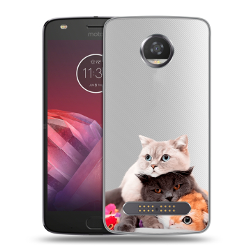 Силиконовый чехол на Motorola Moto Z2 Play с принтом Кошки