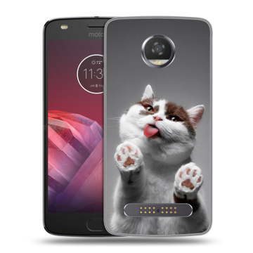 Силиконовый чехол на Motorola Moto Z2 Play с принтом Коты