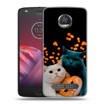 Силиконовый чехол на Motorola Moto Z2 Play с принтом Кошки