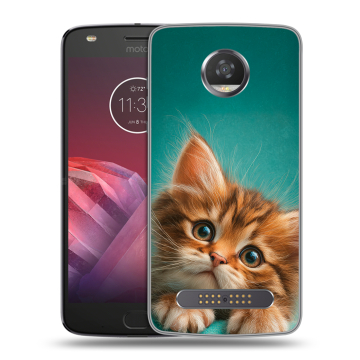 Силиконовый чехол на Motorola Moto Z2 Play с принтом котенок