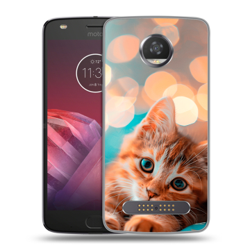 Силиконовый чехол на Motorola Moto Z2 Play с принтом котик