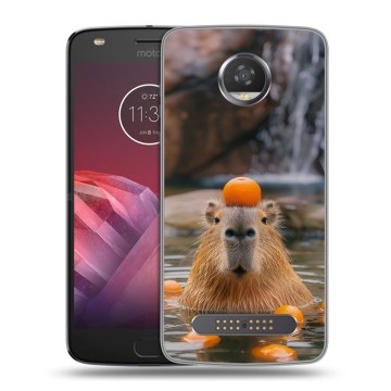 Силиконовый чехол на Motorola Moto Z2 Play с принтом Капибара с апельсином