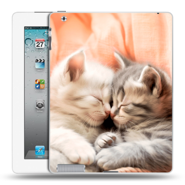 Пластиковый чехол на Ipad 2/3/4 с принтом Котята Пластиковый чехол на Ipad 2/3/4 с принтом Котята