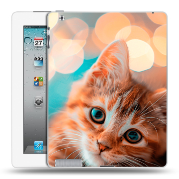 Пластиковый чехол на Ipad 2/3/4 с принтом котик