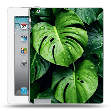 Пластиковый чехол на Ipad 2/3/4 с принтом Листья