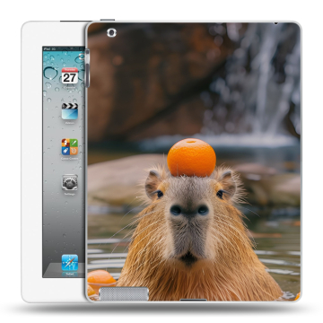 Пластиковый чехол на Ipad 2/3/4 с принтом Капибара с апельсином Пластиковый чехол на Ipad 2/3/4 с принтом Капибара с апельсином
