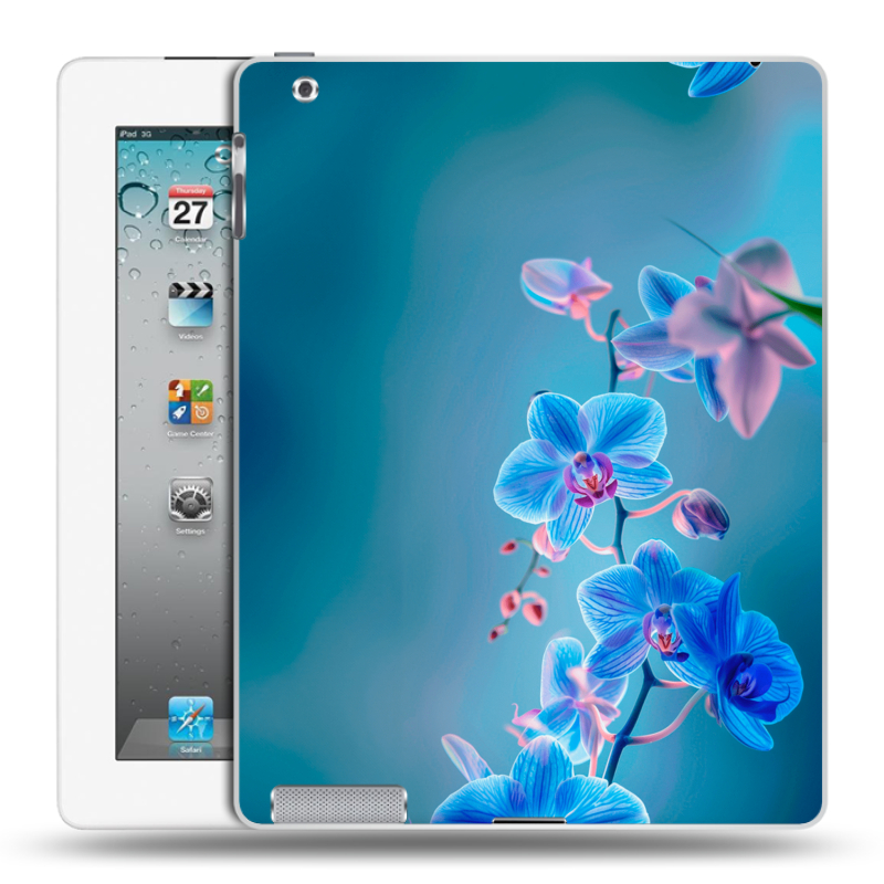 Пластиковый чехол на Ipad 2/3/4 с принтом Голубые цветы Пластиковый чехол на Ipad 2/3/4 с принтом Голубые цветы