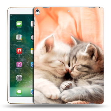 Силиконовый чехол на Ipad Pro 12.9 (2017) с принтом Котята