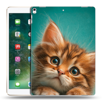 Силиконовый чехол на Ipad Pro 12.9 (2017) с принтом котенок Силиконовый чехол на Ipad Pro 12.9 (2017) с принтом котенок