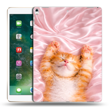 Силиконовый чехол на Ipad Pro 12.9 (2017) с принтом женский Силиконовый чехол на Ipad Pro 12.9 (2017) с принтом женский