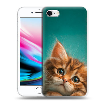 Силиконовый чехол на Iphone 8 с принтом котенок