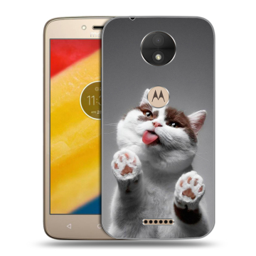Пластиковый чехол на Motorola Moto C с принтом Коты