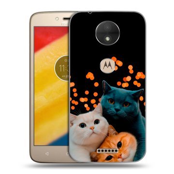 Пластиковый чехол на Motorola Moto C с принтом Кошки