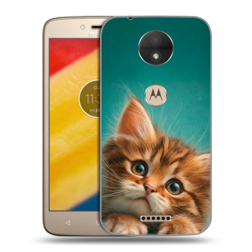 Пластиковый чехол на Motorola Moto C с принтом котенок