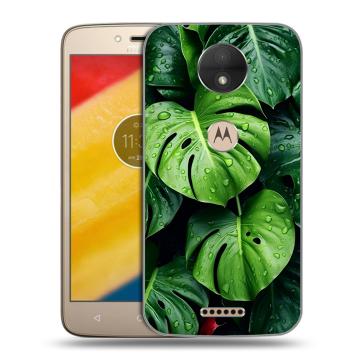 Пластиковый чехол на Motorola Moto C с принтом Листья
