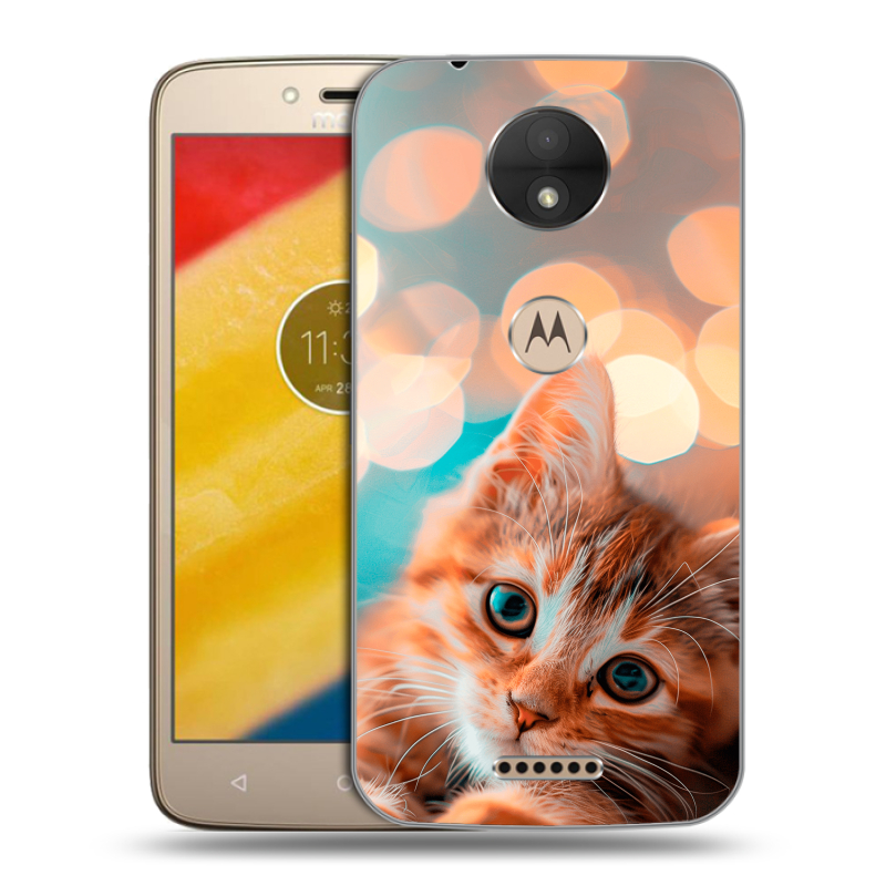 Пластиковый чехол на Motorola Moto C с принтом котик Пластиковый чехол на Motorola Moto C с принтом котик
