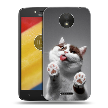 Силиконовый чехол на Motorola Moto C Plus с принтом Коты