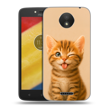 Силиконовый чехол на Motorola Moto C Plus с принтом котенок Силиконовый чехол на Motorola Moto C Plus с принтом котенок