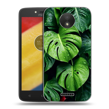 Силиконовый чехол на Motorola Moto C Plus с принтом Листья Силиконовый чехол на Motorola Moto C Plus с принтом Листья
