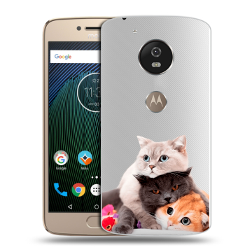 Силиконовый чехол на Motorola Moto G5s с принтом Кошки