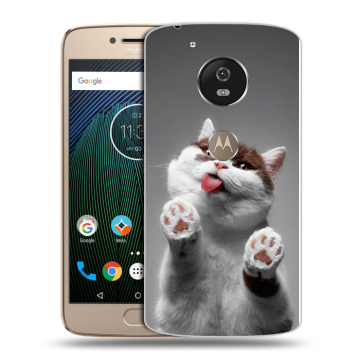 Силиконовый чехол на Motorola Moto G5s с принтом Коты