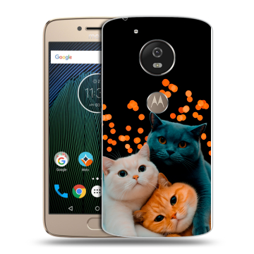 Силиконовый чехол на Motorola Moto G5s с принтом Кошки