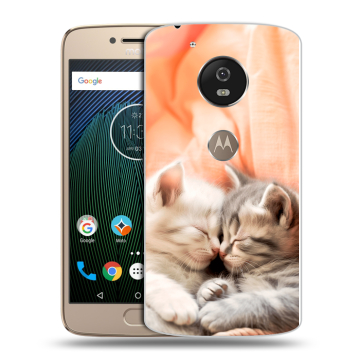 Силиконовый чехол на Motorola Moto G5s с принтом Котята
