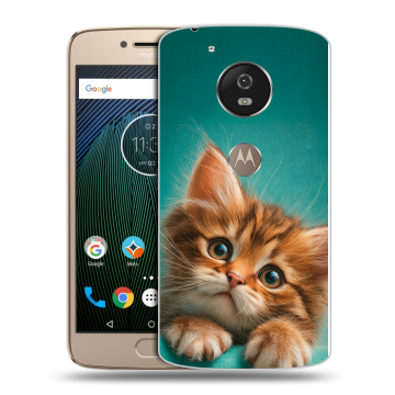 Силиконовый чехол на Motorola Moto G5s с принтом котенок