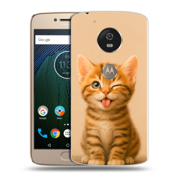Силиконовый чехол на Motorola Moto G5s с принтом котенок