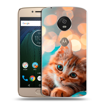 Силиконовый чехол на Motorola Moto G5s с принтом котик
