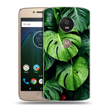 Силиконовый чехол на Motorola Moto G5s с принтом Листья